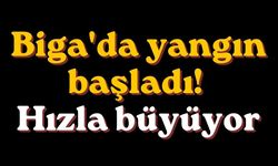 Biga'da yangın başladı! Hızla büyüyor