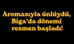 Aromasıyla ünlüydü, Biga’da dönemi resmen başladı!