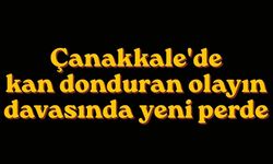 Çanakkale'de kan donduran olayın davasında yeni perde