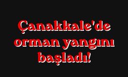 Çanakkale'de orman yangını başladı!