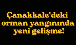 Çanakkale'deki orman yangınında yeni gelişme!