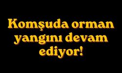 Komşuda orman yangını devam ediyor!