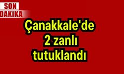 Çanakkale'de 2 zanlı tutuklandı