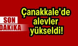 Çanakkale'de alevler yükseldi!
