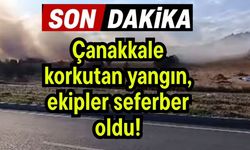 Çanakkale korkutan yangını, ekipler seferber oldu!
