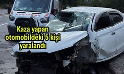 Kaza yapan otomobildeki 5 kişi yaralandı