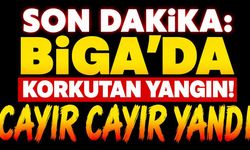 SON DAKİKA: Çanakkale Biga'da Korkutan Yangın! Cayır Cayır Yandı