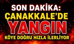 Son Dakika: Çanakkale'de Yangın Köye Doğru Hızla İlerliyor