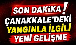 Son Dakika: Çanakkale'deki Yangınla İlgili Yeni Gelişme