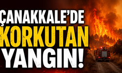 Çanakkale'de korkutan yangın!