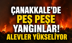 Çanakkale'de peş peşe yangınlar! Alevler yükseliyor