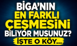 Biga'nın en farklı çeşmesini biliyor musunuz? İşte o köy...