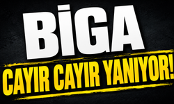Biga cayır cayır yanıyor!