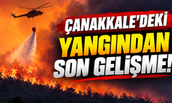 Çanakkale'deki yangından son gelişme!