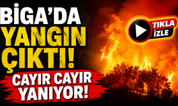 Biga’da alevler tarlayı sardı!