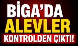 Biga’da alevler kontrolden çıktı!