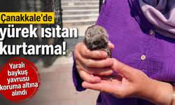 Çanakkale’de yürek ısıtan kurtarma!