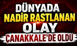 Dünyada Nadir Rastlanan Olay Çanakkale'de Oldu
