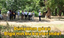 Dünyanın Gözü Biga'nın Bu Köylerinde!