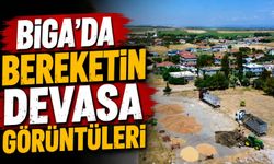 Biga’da Bereketin Devasa Görüntüleri