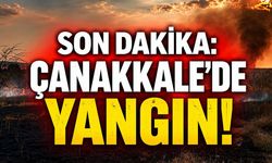 SON DAKİKA: Çanakkale'de Yangın!