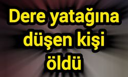 Dere yatağına düşen kişi öldü