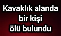 Kavaklık alanda bir kişi ölü bulundu