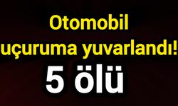 Otomobil uçuruma yuvarlandı! 5 ölü