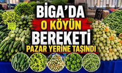 Biga'da o köyün bereketi pazar yerine taşındı
