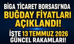 Biga Ticaret Borsası'nda Buğday Fiyatları Açıklandı! İşte 13 Temmuz 2026 Güncel Rakamları