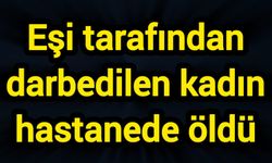 Eşi tarafından darbedilen kadın hastanede öldü