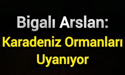 Bigalı Arslan: Karadeniz Ormanları Uyanıyor
