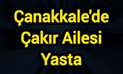 Çanakkale'de Çakır Ailesi Yasta