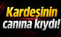 Kardeşinin canına kıydı!