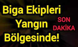 Biga Ekipleri Yangın Bölgesinde!