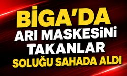 Biga'da arı maskesini takanlar soluğu sahada aldı