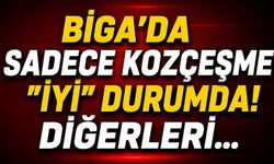 Biga’da sadece Kozçeşme "iyi" durumda! Diğerleri…