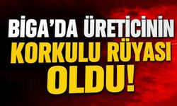Biga’da da üreticinin korkulu rüyası oldu!
