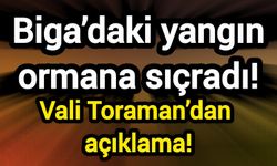 Biga’daki yangın ormana sıçradı! Vali Toraman’dan açıklama!