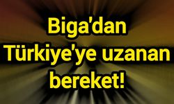Biga'dan Türkiye'ye uzanan bereket!