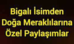 Bigalı İsimden Doğa Meraklılarına Özel Paylaşımlar