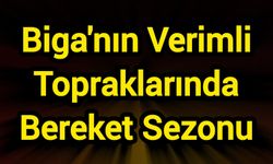 Biga'nın Verimli Topraklarında Bereket Sezonu