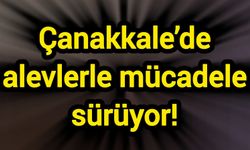 Çanakkale’de alevlerle mücadele sürüyor!