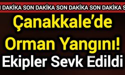 Çanakkale’de Orman Yangını! Ekipler Sevk Edildi