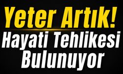 Yeter Artık! Hayati tehlikesi bulunuyor