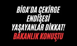 Biga'da çekirge endişesi yaşayanlar dikkat! Bakanlık konuştu