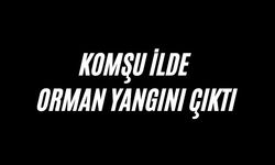 Komşu ilde orman yangını çıktı