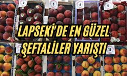 Lapseki'de en güzel şeftaliler yarıştı