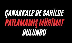 Çanakkale'de sahilde patlamamış mühimmat bulundu