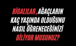 Bigalılar, ağaçların kaç yaşında olduğunu nasıl öğreneceğinizi biliyor musunuz?